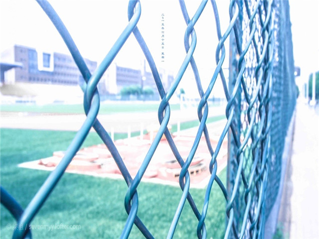 田徑場圍網(wǎng)圖片4 田徑場圍網(wǎng)圖片4